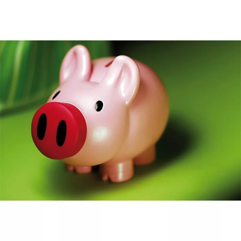 Skarbonka Piggy, różowy (R73882) 2